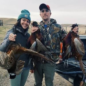 Meet your Posher, Josh